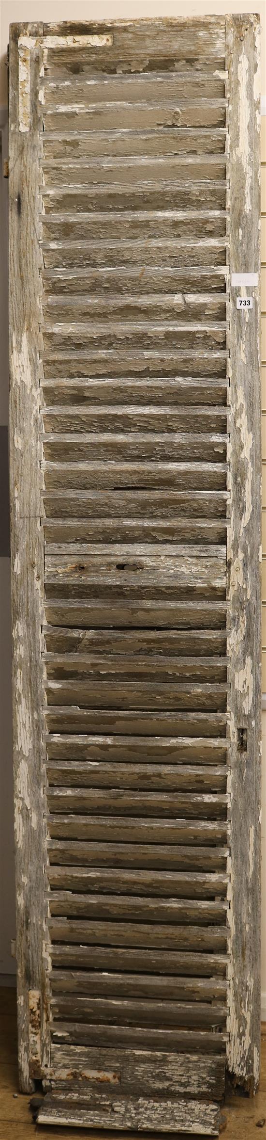 Pair of painted shutters W.50cm